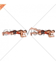 Front Plank with Leg Lift (male)