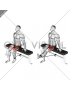 Band Seated Leg Extension (male)