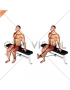Band Seated Leg Extension (male)