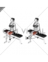 Band Seated Leg Extension (female)