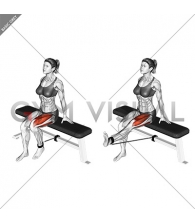 Band Seated Leg Extension (female)