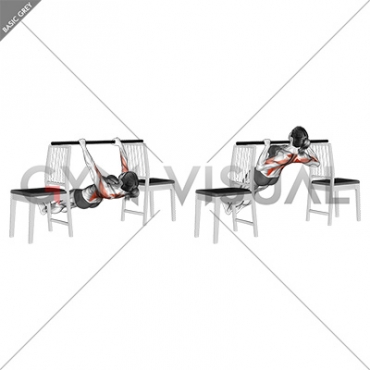 Inverted Row between Chairs (female)