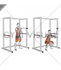 Band horizontal Pallof Press with Resistance Band Squat