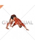 Downward Facing Dog Toe Touch