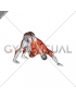 Downward Facing Dog Spine Mobility