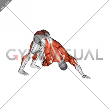 Downward Facing Dog Spine Mobility