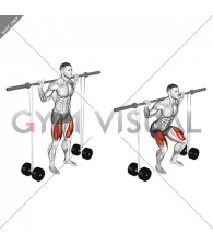 Barbell Banded Squat