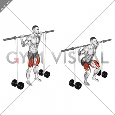 Barbell Banded Squat