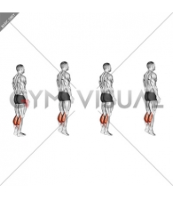 Bodyweight Standing Pulse Calf Raise