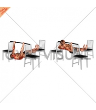 Elevanted Inverted Row between 3 Chairs