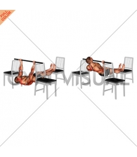 Elevanted Inverted Underhand Grip Row between 3 Chairs