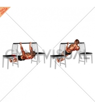 Inverted Underhand Grip Row between Chairs