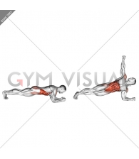 Front Plank with Twist