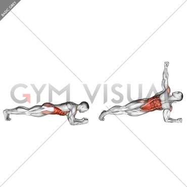 Front Plank with Twist