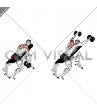Dumbbell Incline Y-Raise