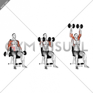Dumbbell Seated Biceps Curl to Shoulder Press