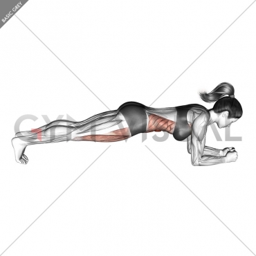 Front Plank