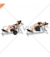 Lever Hip Thrust (plate loaded) (female)