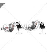 Barbell Glute Bridge Two Legs on Bench (male)