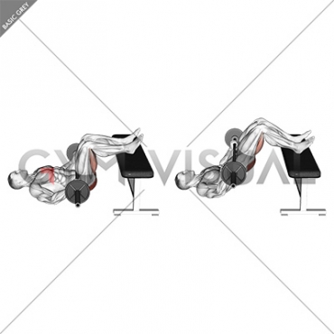 Barbell Glute Bridge Two Legs on Bench (male)