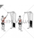 Cable One Arm Pulldown