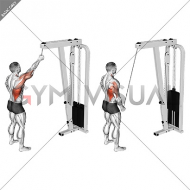 Cable One Arm Pulldown