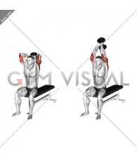 Dumbbell Seated Bench Extension