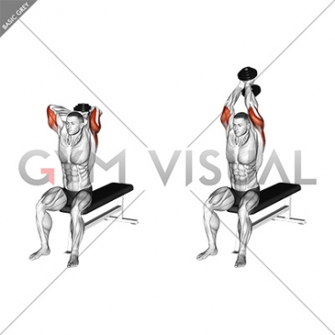 Dumbbell Seated Bench Extension