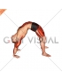 Bridge Pose Yoga Stretch