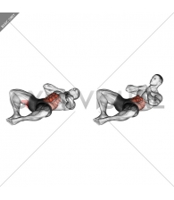 Groin Crunch