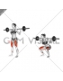 Barbell Squat (female)