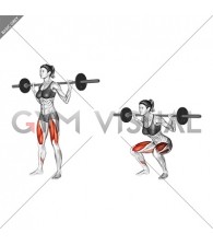 Barbell Squat (female)