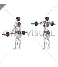 Barbell Wide Grip Upright Row (female)