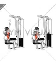 Cable One Arm Lat Pulldown (female)