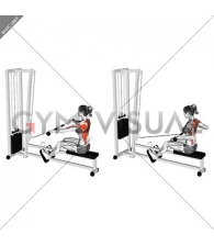 Cable Seated Wide grip Row (female)