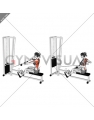 Cable Seated Wide grip Row (female)