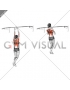 Chin ups (narrow parallel grip) (female)