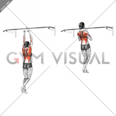 Chin ups (narrow parallel grip) (female)