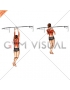 Chin ups (narrow parallel grip) (female)