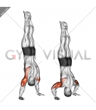 Handstand Push-Up