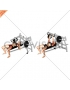 Lever Lying Chest Press (plate loaded) (female)