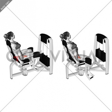 Lever Seated Hip Abduction (female)