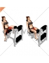 Lever Seated Hip Adduction (female)