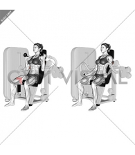 Lever Triceps Extension (female)