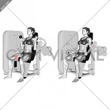 Lever Triceps Extension (female)