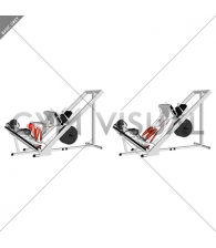 Sled 45 degrees Wide Stance Leg Press (female)