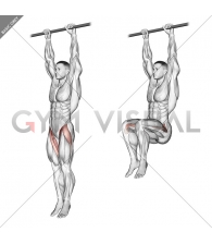 Hanging Leg Raise