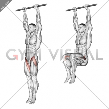 Hanging Leg Raise