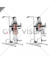 Vertical Leg Raise (on parallel bars) (female) (VERSION 2)