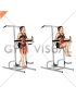 Vertical Leg Raise (on parallel bars) (female) (VERSION 2)